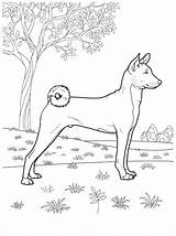 Dog Coloring Pages Coloringpagesforadult Teenagers sketch template