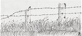 Barbed Fence Fencing Barb sketch template