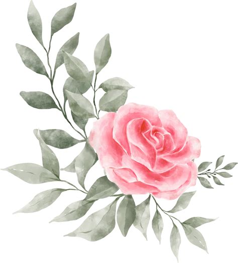 compartilhar  imagem flor rosa rosa brthptnganamsteduvn