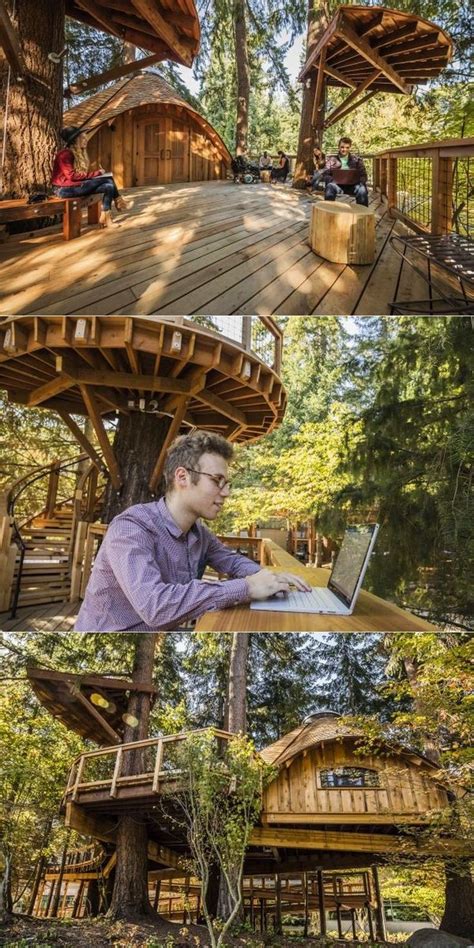 Microsoft Builds Technology Enabled Treehouse Workspaces For Employees