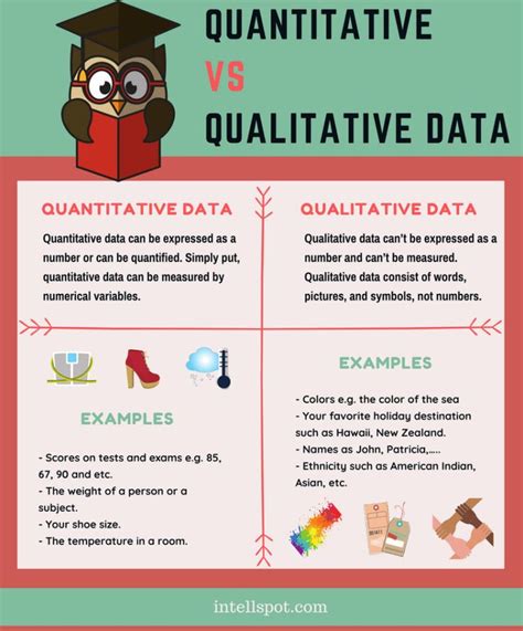 qualitative  quantitative data infographic  examples data