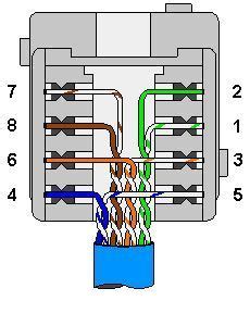 cat  wiring diagram wall jack  helpful cat   cat  wiring diagram parts