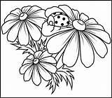 Camomile Coloritbynumbers Colouring Doodles sketch template