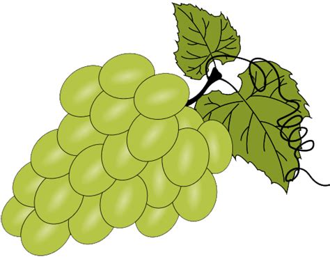 printable grapes  coloring page