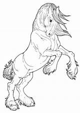 Horse Coloring Pages Horses sketch template
