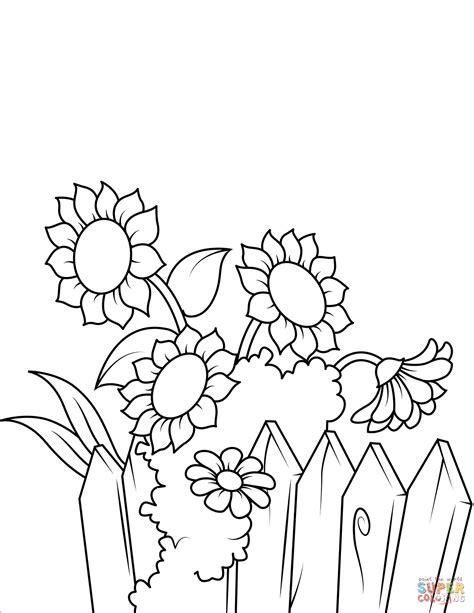 sunflowers   fence coloring page  printable coloring pages