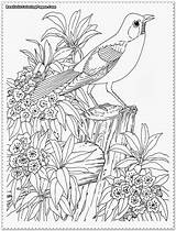 Coloring Realistic Bird Garden Printable Adult Adults Sheets Flower Drawings Animal Special Detailed Designlooter Titan Posted 1066px 22kb sketch template