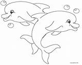 Delfin Ausmalbilder Erwachsene Malvorlagen sketch template