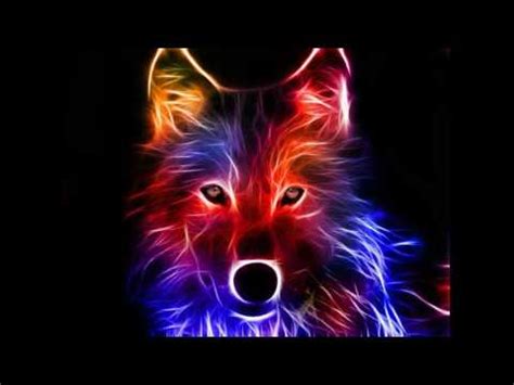 rainbow wolf youtube