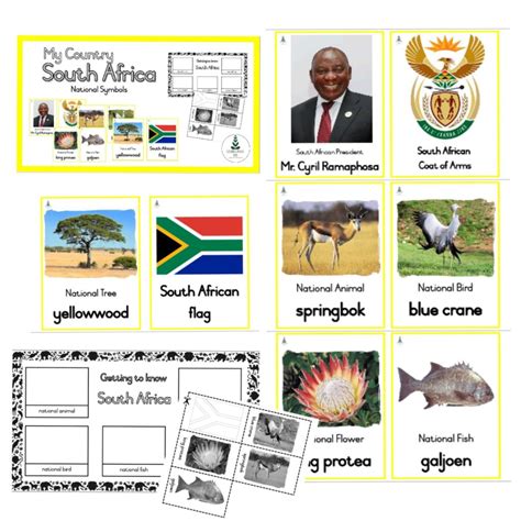 country south africa national symbols teacha