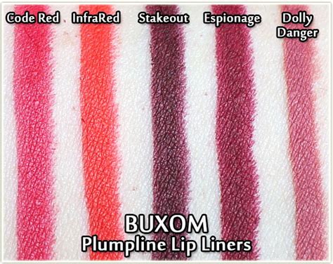 buxom plumpline lip liners review and swatches makeup