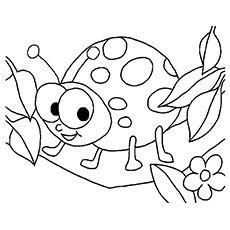 ladybug coloring pages  printables momjunction ladybug coloring page insect coloring
