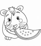 Pig Guinea Coloring Pages Pigs Cute Printable Real Popular Template sketch template