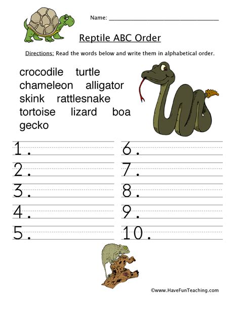 reptiles alphabetical order worksheet  fun teaching