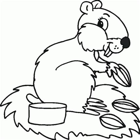 forest animals coloring pages coloring home