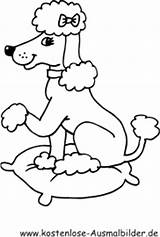 Pudel Ausmalbild Hund Ausdrucken Um Welpen Klicke Auszudrucken Besuchen sketch template