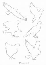 Uccelli Sagome Ritagliare Stampare Uccellini Pianetabambini Uccello Sagoma Piccoli Bacheca sketch template