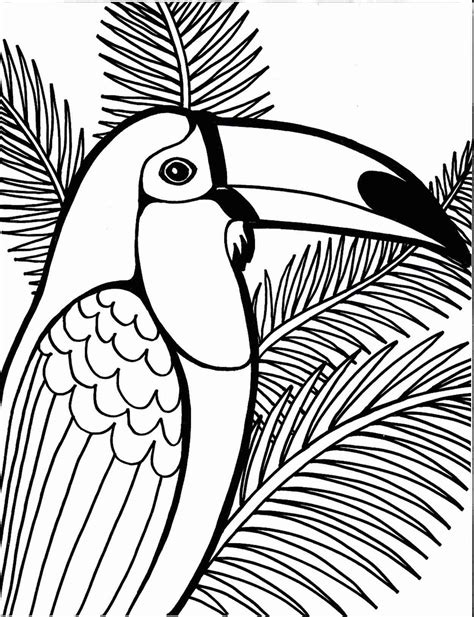 parrot coloring pages printable  getdrawings