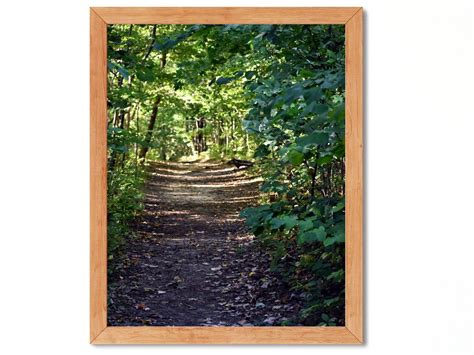 hiking trail print nature photography forest photography etsy