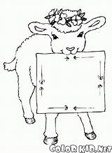 Cartello Testa Agnello Goats Cordero Avec Lamm Pecora Colorkid Ovejas Cabras Kopf Kranz Głowie Jagnięcina Coloradisegni Cabeza Kolorowanka Koza Dzwonkiem sketch template