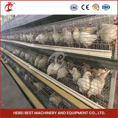 Bestchickencage China Layer Chicken Battery Cage Automatic
