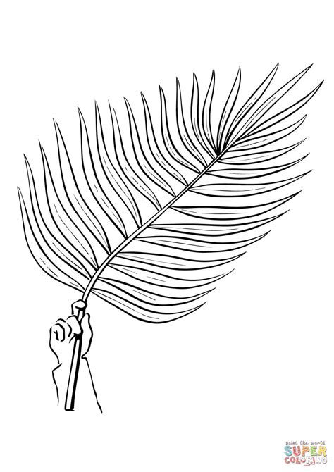 palm tree branch coloring page  printable coloring pages