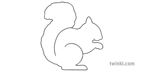 squirrel outline template illustration twinkl