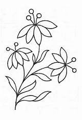 Embroidery Pattern Bordar Para Simple Floral Designs Hand Bordados Salvo Info Riscos sketch template