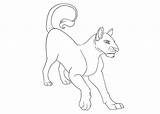 Lioness Coloring sketch template
