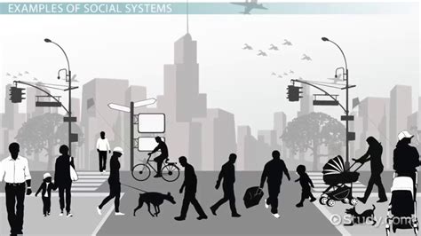 social systems definition and theory video and lesson