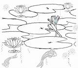 Pond Coloring Pages Animals Habitat Printable Drawing Realistic Fish Plants Scene Sketch Ponds Duck Color Lily Habitats Covered Bridge Getcolorings sketch template