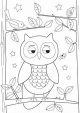 Colour Owl Sleepy Freebie Colouring Outlines Fun Print sketch template