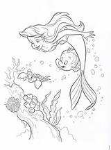 Colorear Sirenita Mermaid Princesa Arielle Syrenka Sirena Sirenetta Princesas Kolorowanka Druku Flounder Mala Ausmalen Ragazze Kolorowanki Sirene Meerjungfrau Ausmalbild Pony sketch template