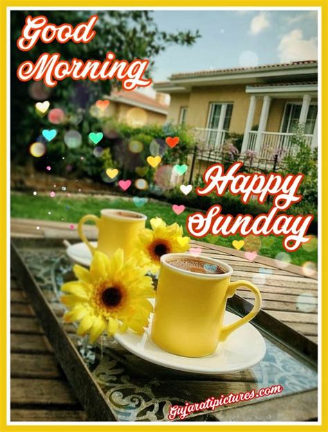 happy sunday good morning gujarati pictures website dedicated