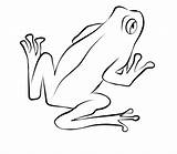Grenouille Ausmalbild Frosch sketch template