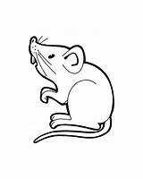 Mouse Coloring Pages Kids Color Printable Print Justcolor sketch template