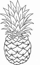Pineapple Piña Fruta Gravado Pintura sketch template