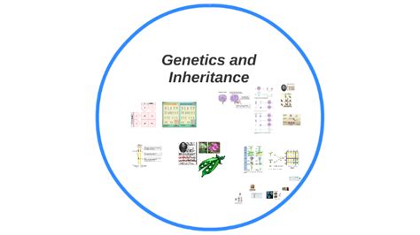 Genetics And Inheritance By Gerardo Gonzalez