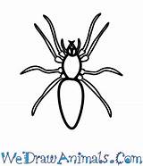 Spider Easy Drawing Woodlouse Draw Paintingvalley Tutorial Print sketch template