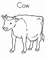 Cow Coloring Pages Kids Outline Printable Sheets Print Cliparts Tracing Clipart Dairy Twistynoodle Library Popular Reserved Rights sketch template
