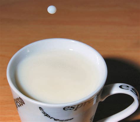 warm milk home wiki fandom