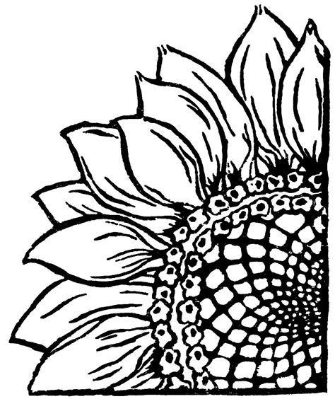 printable stencil sunflower outline