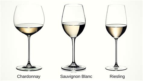 The Beginner Guide To Different Types Of Wine Glasses