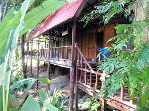 similan islands national park bungalows thailandprovinz phang nga bewertungen preisvergleich