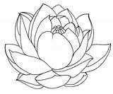 Lotus Getdrawings sketch template