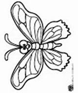 Schmetterling Raupe Kita Ideen sketch template