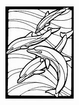 Coloring Pages Dolphin Dolphins Animal Printable Kids Ocean Colouring Adults Print Swimming Adult Color Sheets Sea Animals Pyrography Ws School sketch template
