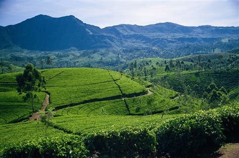 sri lanka is one of six best destinations in the world for