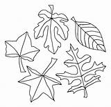 Tree Fall Coloring Pages Getcolorings Bare Color sketch template