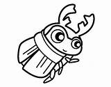 Escarabajo Escarabajos Pelotero Bosta Scarabeo Colorare Rola Insectos Pintar Disegno Besouros Stercorario Escarabat Blanco Insetti Acolore Dibuixos Dibuix Piloter sketch template